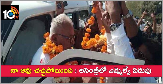 నా ఆవు చచ్చిపోయింది : అసెంబ్లీలో ఎమ్మెల్యే ఏడుపు నా ఆవు చచ్చిపోయింది : అసెంబ్లీలో ఎమ్మెల్యే ఏడుపు