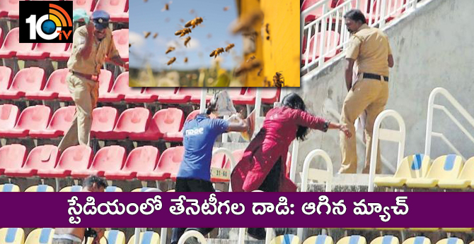Bee attack in Kerala Cricket Stadium, India A Match delayed to 15 minutes, Video goes viral 
