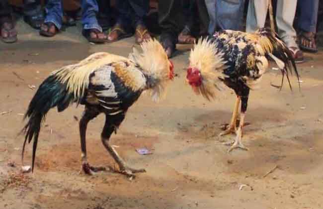 East Godavari, West Godavari,COKE FIGHT Police Attacks,