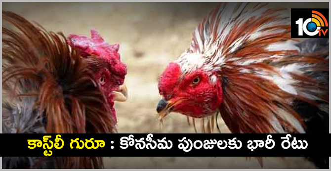 Highest Price For Konaseema Cocks