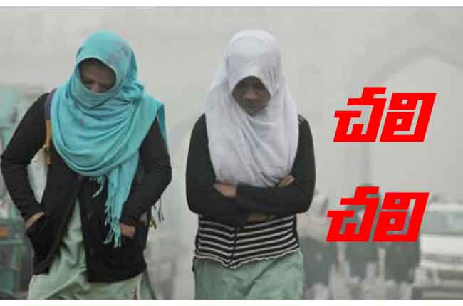 Cold Wave In Hyderabad
