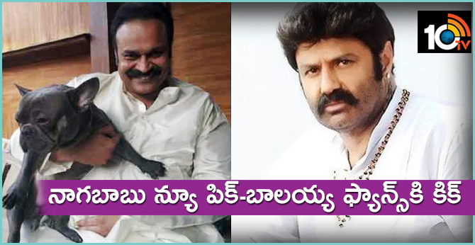 Mega Brother Nagababu Pic Goes Viral-10TV