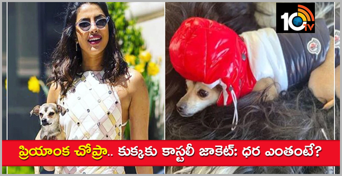 ​​​​​​​Priyanka Chopra gets her dog winter jacket for Rs 36,000!