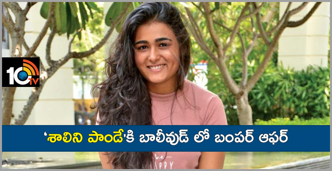‘శాలిని పాండే’కి బాలీవుడ్ ఆఫర్ ‘శాలిని పాండే’కి బాలీవుడ్ ఆఫర్