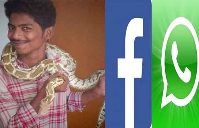 Snakes Business in Social Media