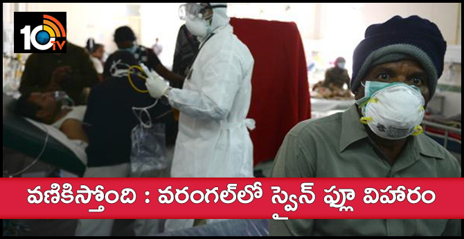 Swine Flu Case In Warangal Dist