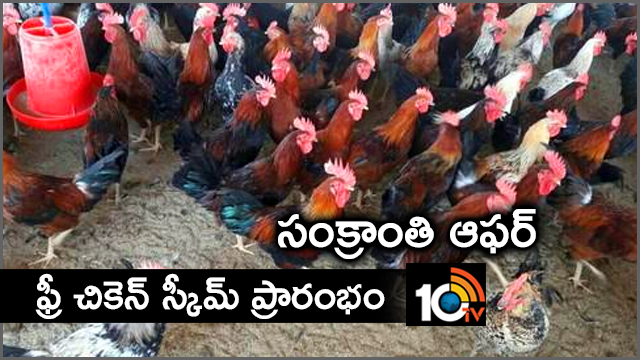 సంక్రాంతి ఆఫర్: ఫ్రీ చికెన్ స్కీమ్ ప్రారంభం సంక్రాంతి ఆఫర్: ఫ్రీ చికెన్ స్కీమ్ ప్రారంభం