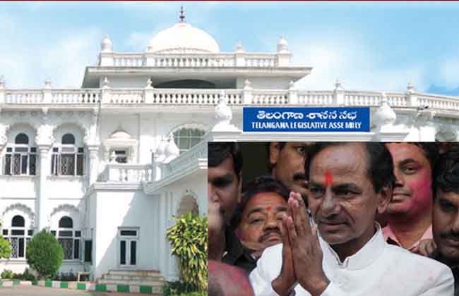 Telangana assembly committees begin