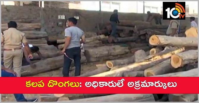 Timber smuggling : Officials are culprits