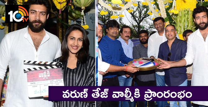 వరుణ్ తేజ్ వాల్మీకి ప్రాంరంభం వరుణ్ తేజ్ వాల్మీకి ప్రాంరంభం