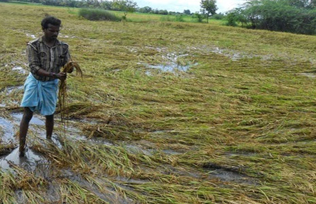ఏపీకి ఊరట: కేంద్ర సాయం రూ.900 కోట్లు మంజూరు ఏపీకి ఊరట: కేంద్ర సాయం రూ.900 కోట్లు మంజూరు