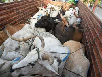 Police Caught Illegally Transport DCM
