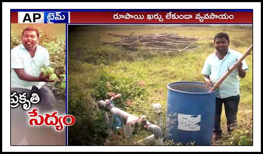 ప్రకృతి సేద్యం : మజ్జిగ, గంజి, ఆవు మూత్రమే అతని ఆయుధం… ప్రకృతి సేద్యం : మజ్జిగ, గంజి, ఆవు మూత్రమే అతని ఆయుధం…