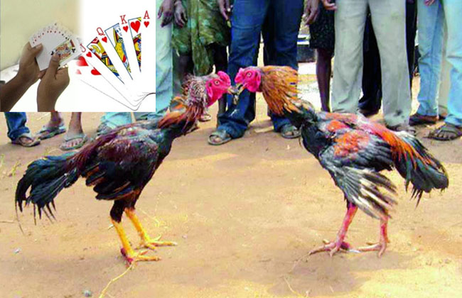 Arrangements for chicken payments in ap