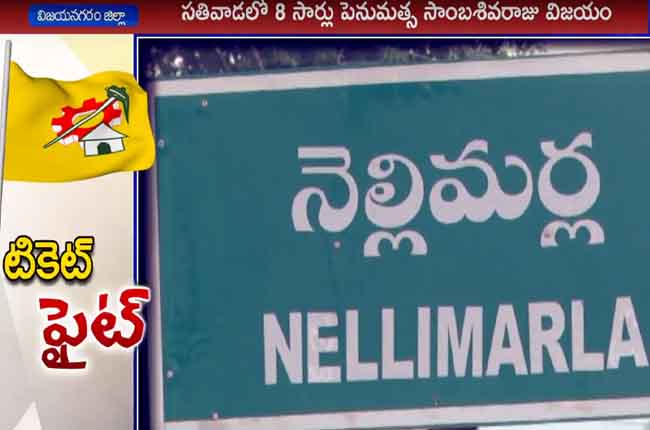 Tough Time Nellimarla TDP Ticket