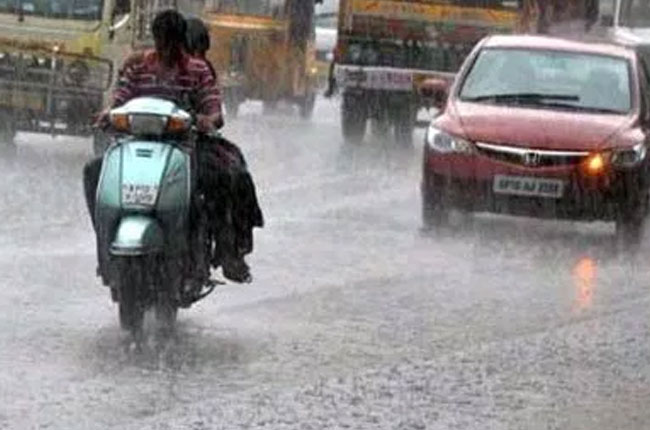 నిజామాబాద్ జిల్లాలో వర్షం నిజామాబాద్ జిల్లాలో వర్షం
