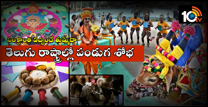 Sankranthi Celebrations In Telugu States
