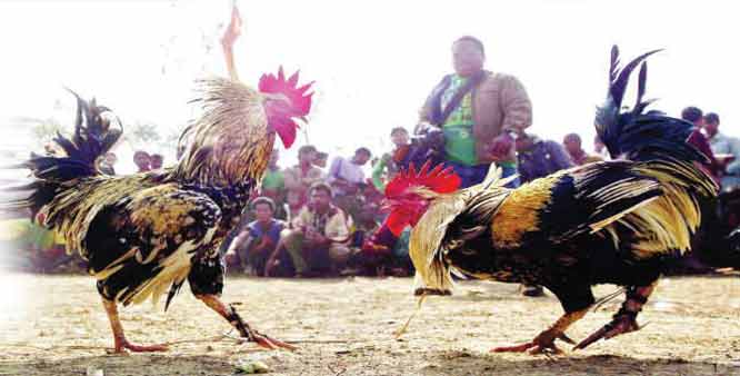 ప్లీజ్ చెక్ : ఏపీ సంక్రాంతి సెలవుల్లో మార్పు ప్లీజ్ చెక్ : ఏపీ సంక్రాంతి సెలవుల్లో మార్పు