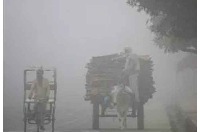Telangana Weather Report