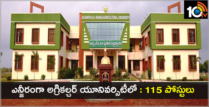 ANGRAU Recruitment 2019