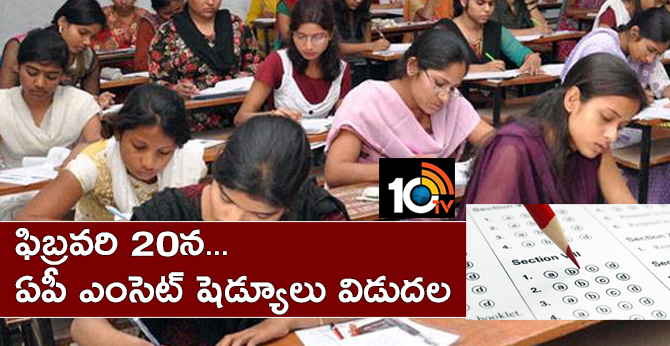 ఫిబ్రవరి 20న..ఏపీ ఎంసెట్ షెడ్యూలు విడుదల ఫిబ్రవరి 20న..ఏపీ ఎంసెట్ షెడ్యూలు విడుదల