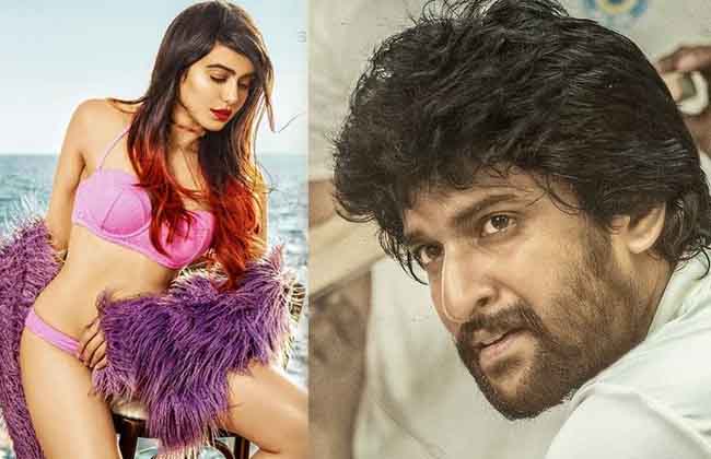 Adah Sharma to Perform a Item Number in Jersey-10TV