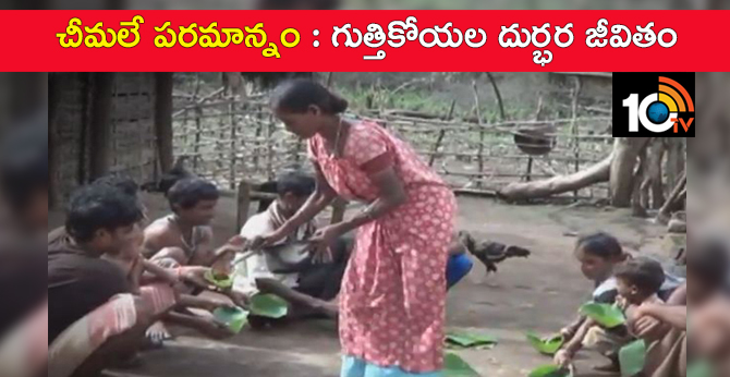Ants is the full meals : Bitter life of Gutthi Koyalu