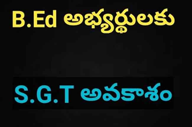 Good News B.Ed Candidates Eligible For SGT Posts