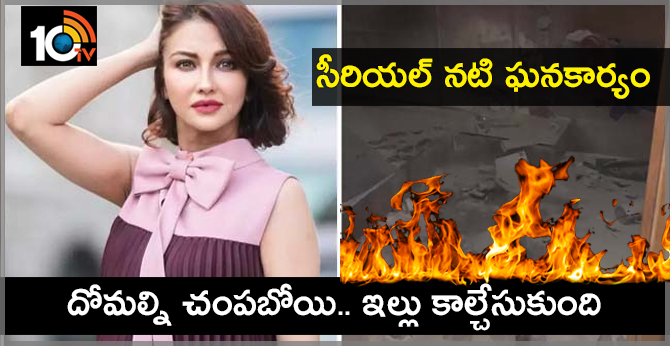 సీరియల్ నటి ఘనకార్యం : దోమల్ని చంపబోయి.. ఇల్లు కాల్చేసుకుంది సీరియల్ నటి ఘనకార్యం : దోమల్ని చంపబోయి.. ఇల్లు కాల్చేసుకుంది