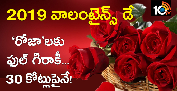 Indian more Expected To Earn Rs 30 Crore From Rose Export Ahead Of Valentine’s Day