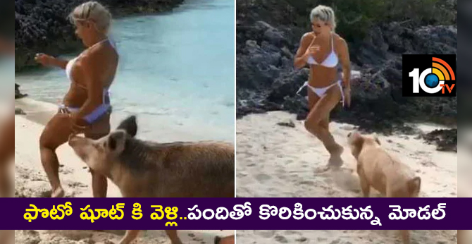 ఫొటో షూట్ కి వెళ్లి..పందితో కొరికించుకున్న మోడల్ ఫొటో షూట్ కి వెళ్లి..పందితో కొరికించుకున్న మోడల్