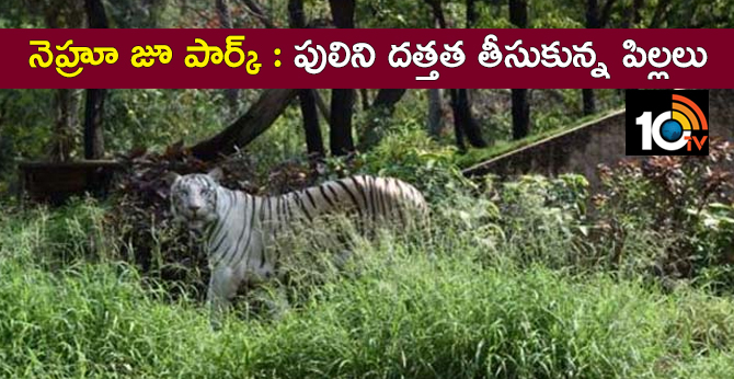 నెహ్రూ జూ పార్క్ : పులిని దత్తత తీసుకున్న పిల్లలు నెహ్రూ జూ పార్క్ : పులిని దత్తత తీసుకున్న పిల్లలు
