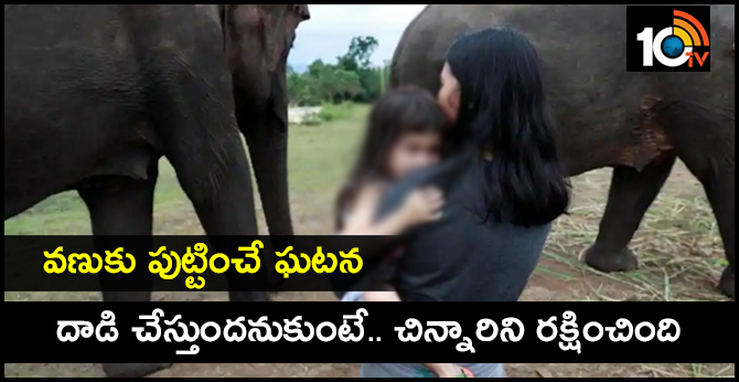 వణుకు పుట్టించే ఘటన: దాడి చేస్తుందనుకుంటే.. చిన్నారిని రక్షించింది వణుకు పుట్టించే ఘటన: దాడి చేస్తుందనుకుంటే.. చిన్నారిని రక్షించింది