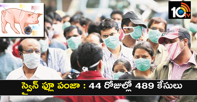 Swine Flu Virus: 489 swine flu cases in 44 days in Telangana