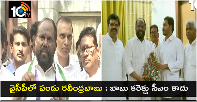 వైసీపీలో పండు రవీంద్రబాబు : బాబు కరెక్టు సీఎం కాదు వైసీపీలో పండు రవీంద్రబాబు : బాబు కరెక్టు సీఎం కాదు