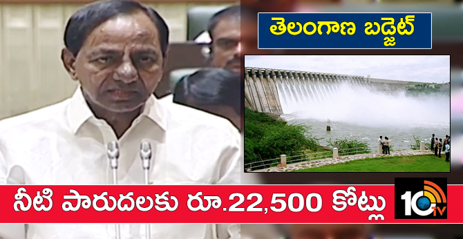 Telangana Budget: Rs. 22,500 crores for irrigation