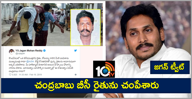 జగన్ ట్వీట్: చంద్రబాబు బీసీ రైతును చంపేశారు జగన్ ట్వీట్: చంద్రబాబు బీసీ రైతును చంపేశారు