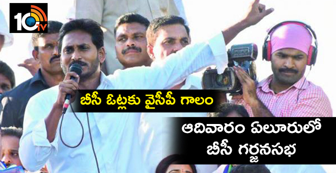 YSRCP trying for bc votes : BC Garjana Sabha at Eluru on Sunday.