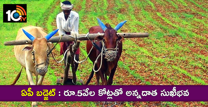 ఏపీ బడ్జెట్ : రూ.5వేల కోట్లతో అన్నదాత సుఖీభవ ఏపీ బడ్జెట్ : రూ.5వేల కోట్లతో అన్నదాత సుఖీభవ