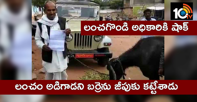 farmer ties buffalo to officer’s vehicle