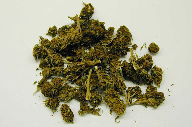 Cannabis Illegal Transportation in karimnagar