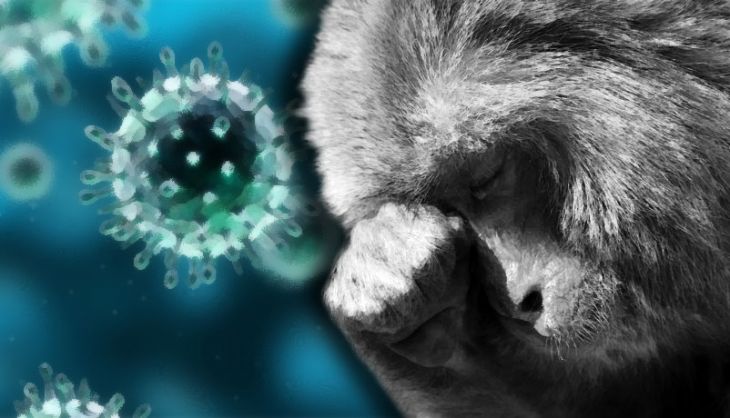 Karnataka People Suffering From Monkey Fever