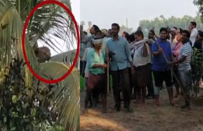 చిరుత దాడి: భయంతో వణుకుతున్న గ్రామస్ధులు చిరుత దాడి: భయంతో వణుకుతున్న గ్రామస్ధులు