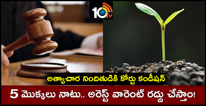 అత్యాచార నిందితుడికి కోర్టు కండీషన్: 5 మొక్కలు నాటు.. అరెస్ట్ వారెంట్ రద్దు చేస్తాం! అత్యాచార నిందితుడికి కోర్టు కండీషన్: 5 మొక్కలు నాటు.. అరెస్ట్ వారెంట్ రద్దు చేస్తాం!