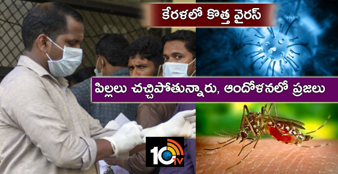 7-Year-Old Boy Dies Of West Nile Virus In Kerala