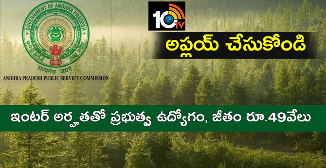 అప్లయ్ చేసుకోండి: ఇంటర్ అర్హతతో ప్రభుత్వ ఉద్యోగం, జీతం రూ.49వేలు అప్లయ్ చేసుకోండి: ఇంటర్ అర్హతతో ప్రభుత్వ ఉద్యోగం, జీతం రూ.49వేలు