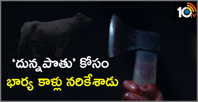 Buffalo Issue is a dispute..Man Chops Off Wife's Legs Over Sale Of Buffalo