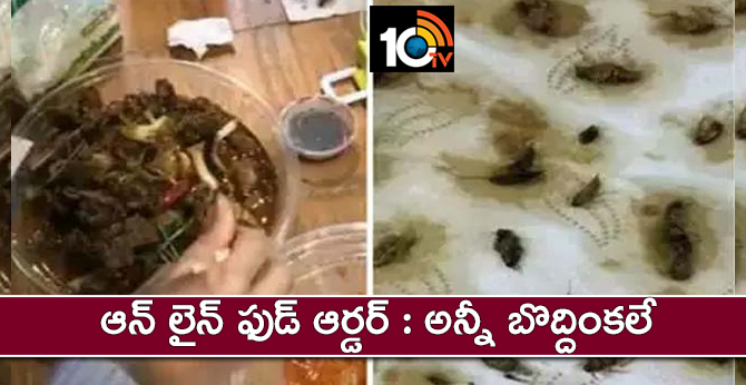 Concocatches on online food