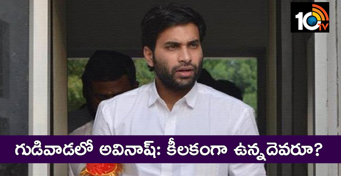 గుడివాడలో అవినాష్: కీలకంగా ఉన్నదెవరూ? గుడివాడలో అవినాష్: కీలకంగా ఉన్నదెవరూ?