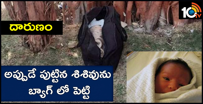 Just born baby in leather bag at tree in Jahangirpur